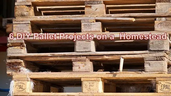 6 DIY Pallet Projects on a Homestead