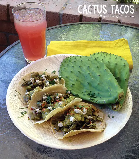 Cactus Pads Nopales Nopali Mexican Recipes - Wild Food Foraging 