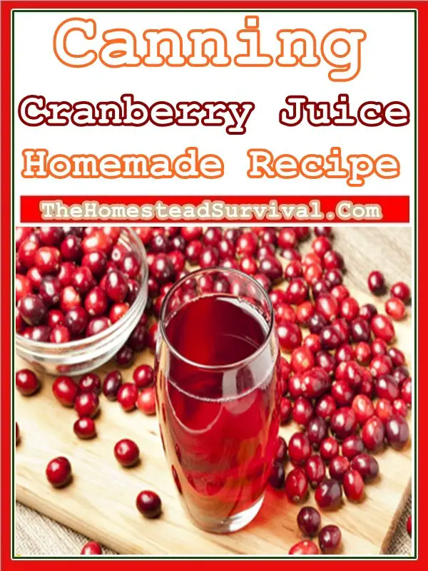 Canning Cranberry Juice Homemade Recipe - Food Storage