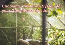 Choosing a Watering System for your Greenhouse Needs