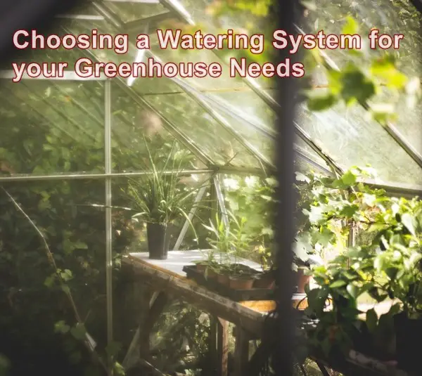 Choosing a Watering System for your Greenhouse Needs 