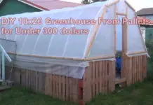DIY 10x20 Greenhouse From Pallets for Under 300 dollars