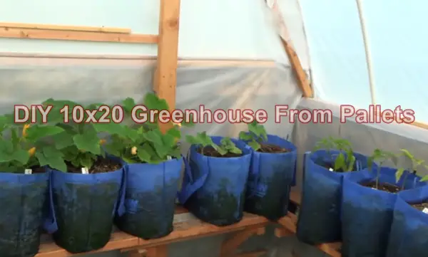 DIY 10x20 Greenhouse From Pallets