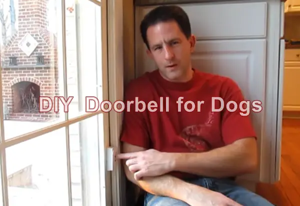 DIY Doorbell for Dogs