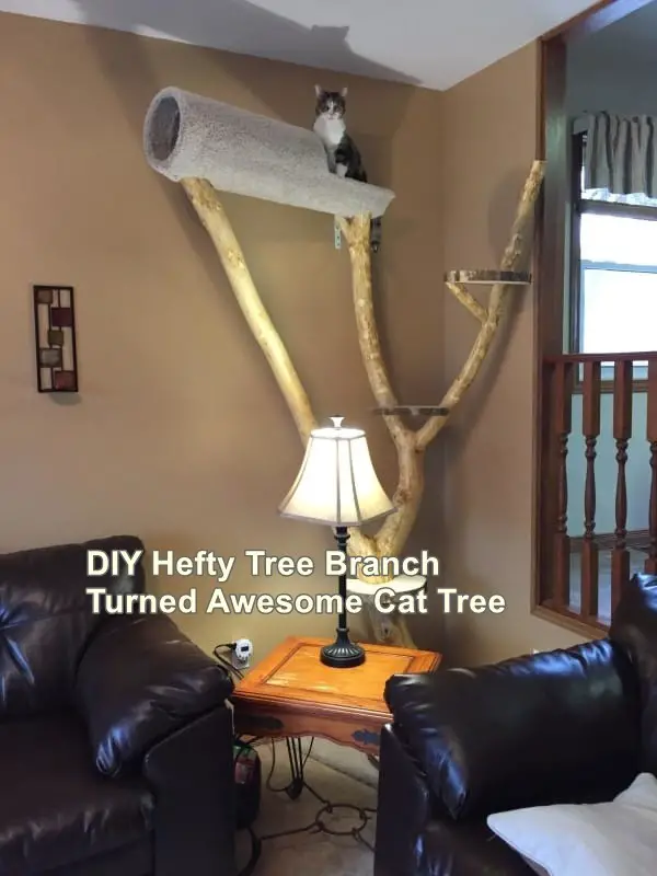 DIY Hefty Tree Branch Turned Awesome Cat Tree