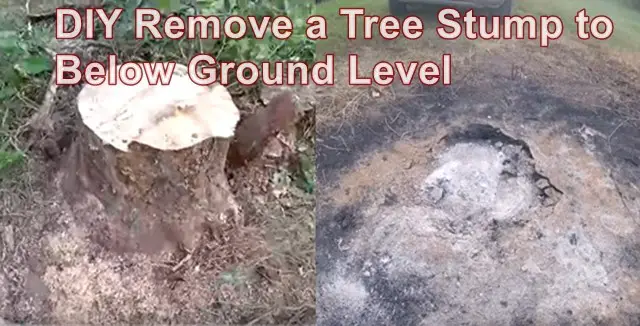 DIY Remove a Tree Stump to Below Ground Level