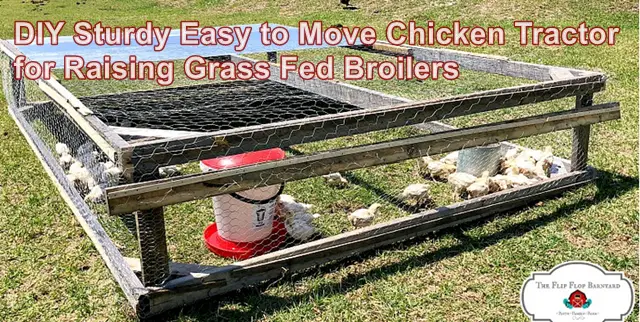 DIY Sturdy Easy to Move Chicken Tractor for Raising Grass Fed Broilers