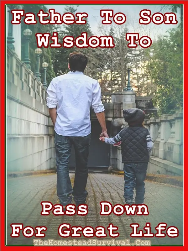 Father Son Wisdom To Pass Down For Great Life - Knowledge - Love
