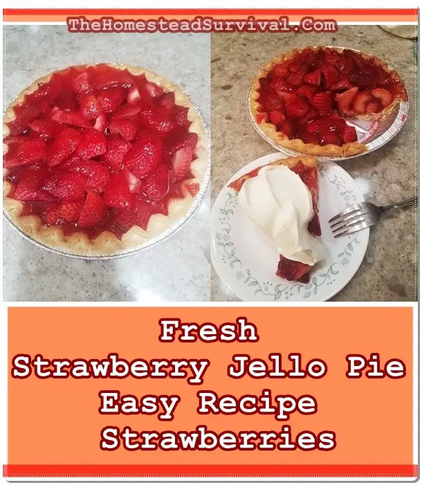 Fresh Strawberry Jello Pie Easy Recipe - Strawberries