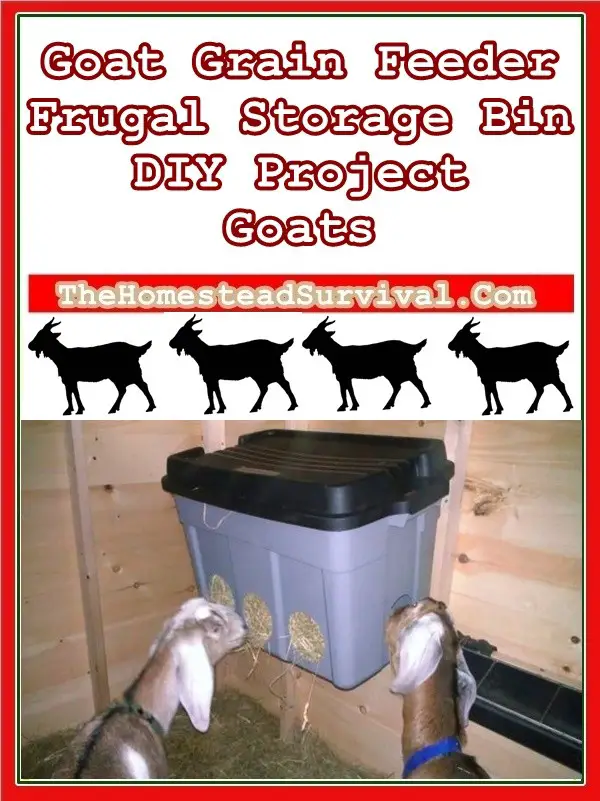 Goat Grain Feeder Frugal Storage Bin DIY Project - Homesteading Goats 