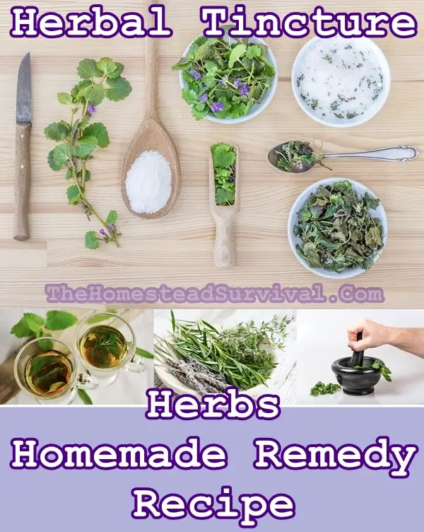 Herbal Tincture Herbs Homemade Remedies Recipe - Natural Healing