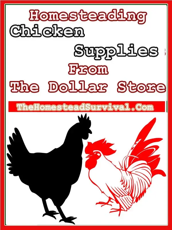 Homesteading Chicken Supplies From The Dollar Store - Frugal