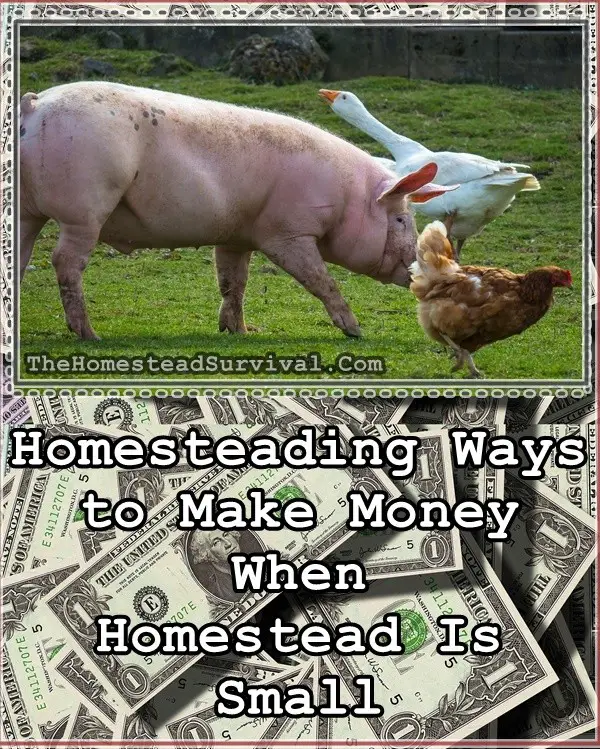 Homesteading Ways to Make Money When Homestead Is Small