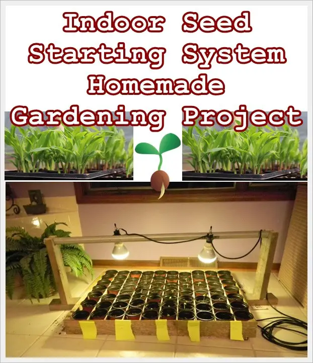 Indoor Seed Starting System Homemade Gardening Project - Homesteading