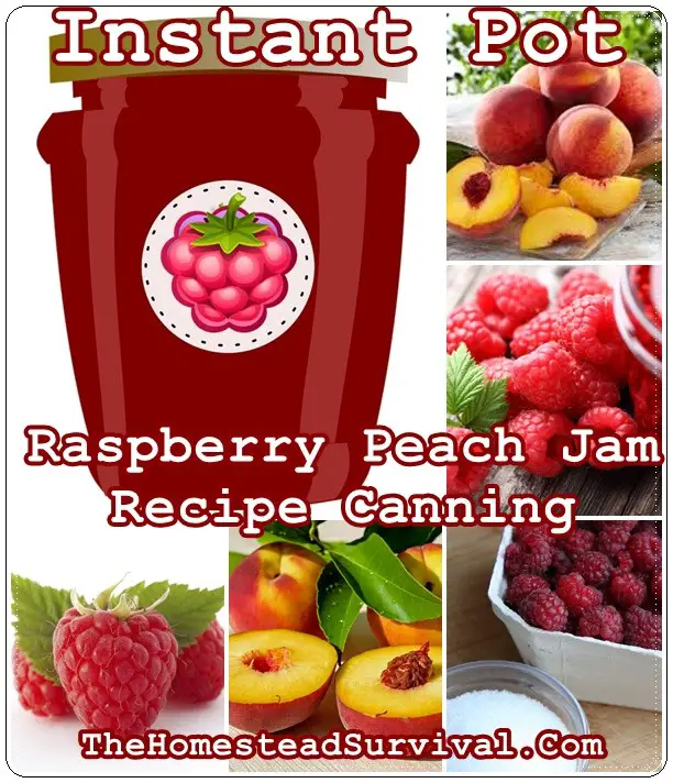Instant Pot Raspberry Peach Jam Recipe Canning - Food Storage - Homesteading