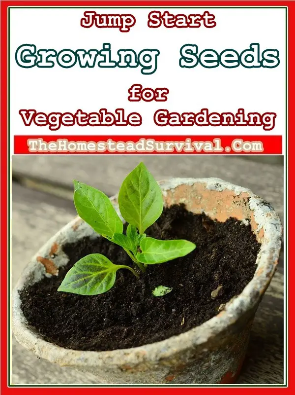 Jump Start Growing Seeds for Vegetable Gardening - Homesteading -