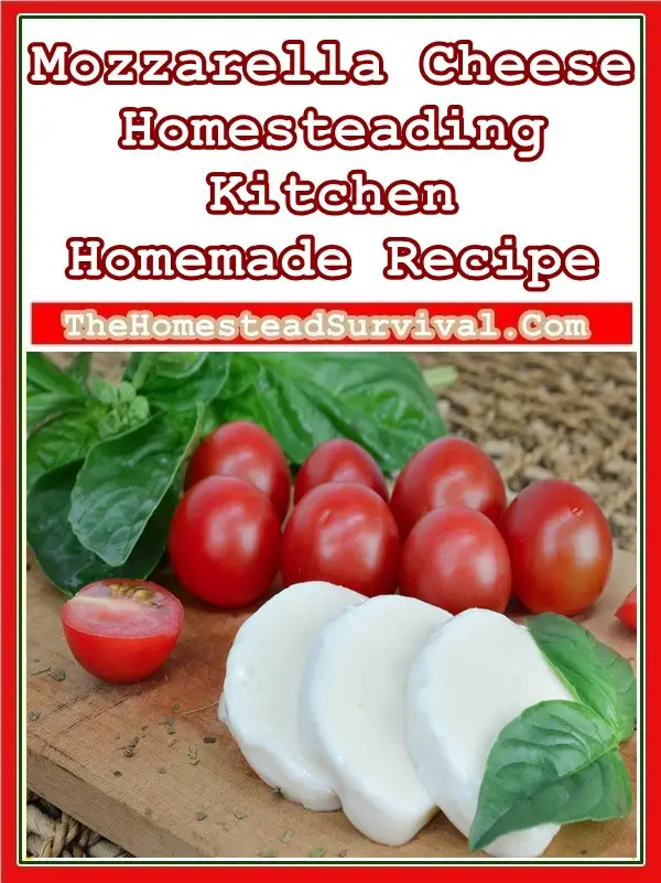 Mozzarella Cheese Homesteading Kitchen Homemade Recipe 