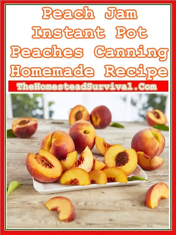 Peach Jam Instant Pot Peaches Canning Homemade Recipe