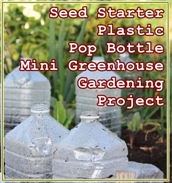 Seed Starter Plastic Pop Bottle Mini Greenhouse Gardening Project