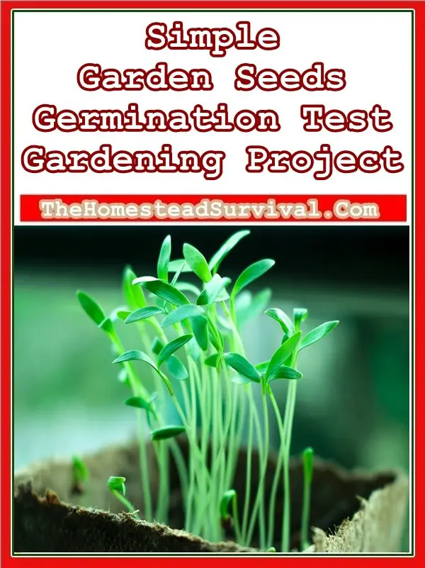 Simple Garden Seeds Germination Test Gardening Project - Homesteading