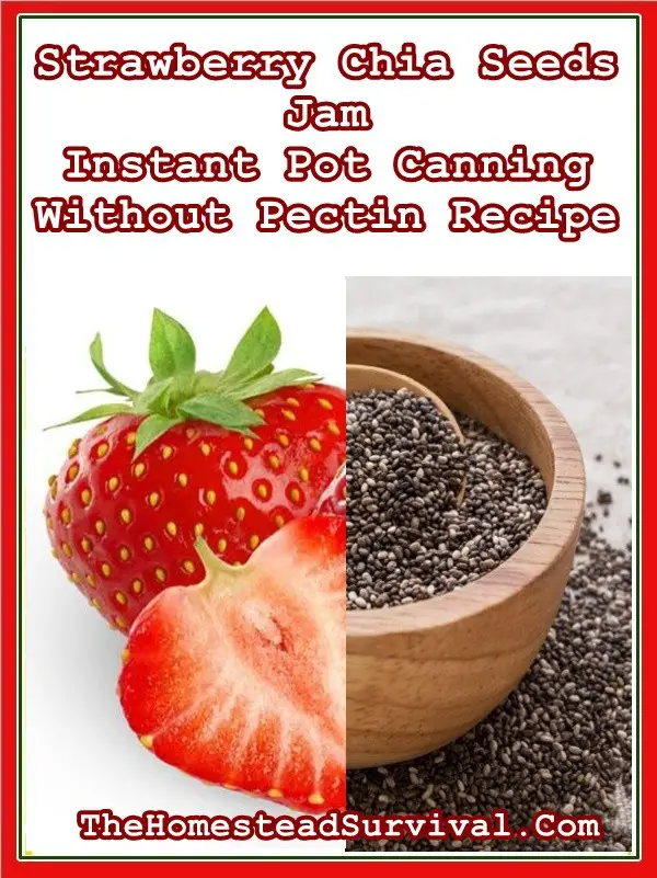 Strawberry Chia Seeds Jam Instant Pot Canning Without Pectin Recipe - Homesteading - Food Storage 