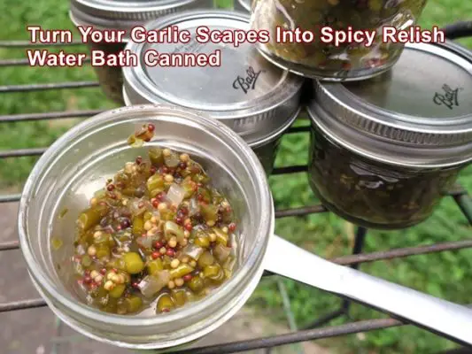 Turn Your Garlic Scapes Into Spicy Relish Water Bath Canned