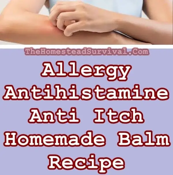 Allergy Antihistamine Anti Itch Homemade Balm Recipe