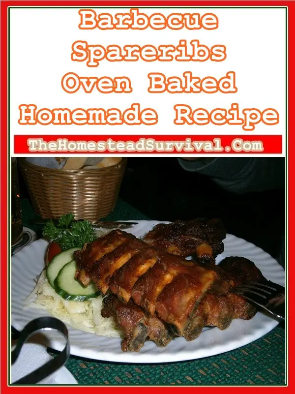 Barbecue Spareribs Oven Baked Homemade Recipe