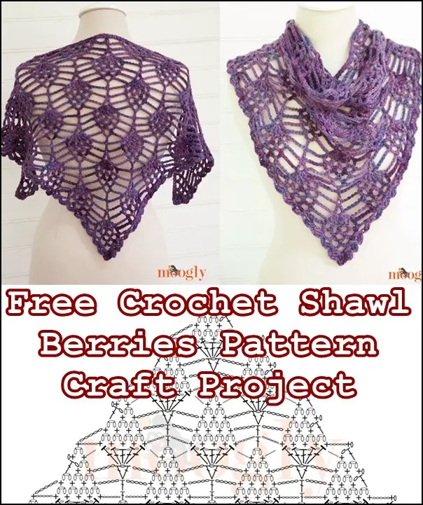 Free Crochet Shawl Berries Pattern Craft Project
