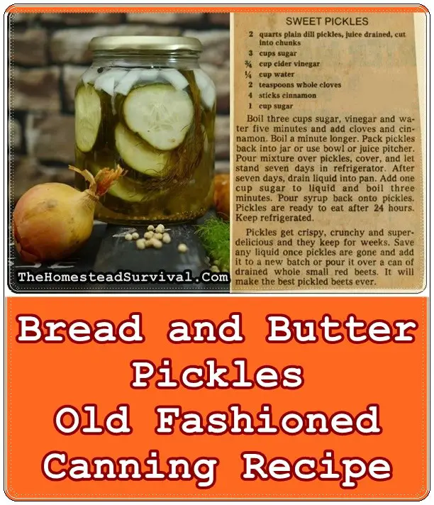 Bread and Butter Pickles Old Fashioned Canning Recipe