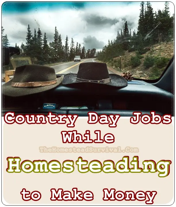 Country Day Jobs While Homesteading to Make Money