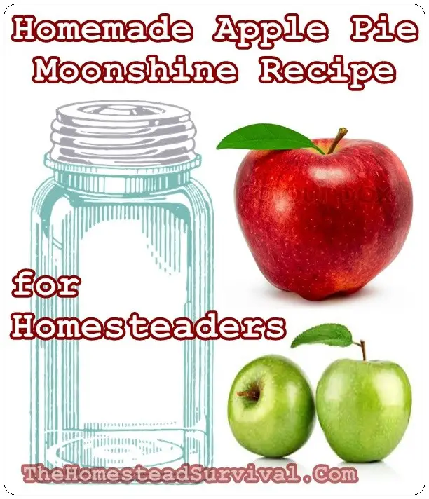 Homemade Apple Pie Moonshine Recipe for Homesteaders