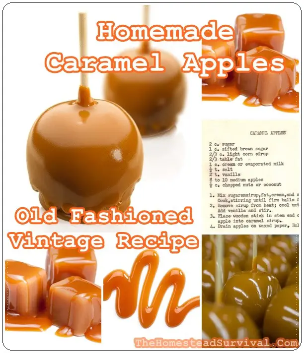 Homemade Caramel Apples Old Fashioned Vintage Recipe 