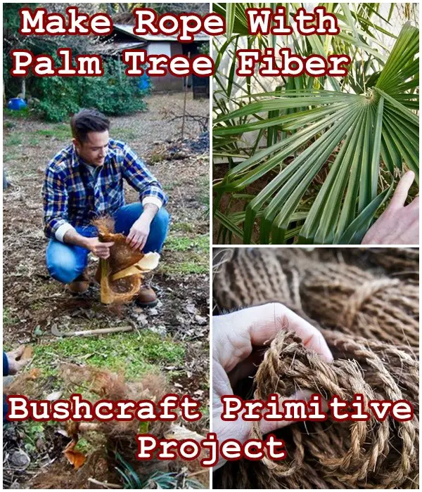  Make Rope With Palm Tree Fiber Bushcraft Primitive Project