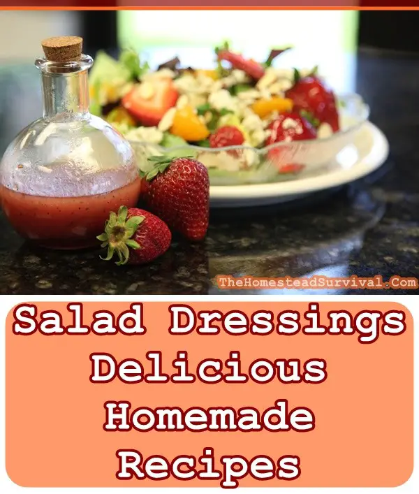 Salad Dressings Delicious Homemade Recipes