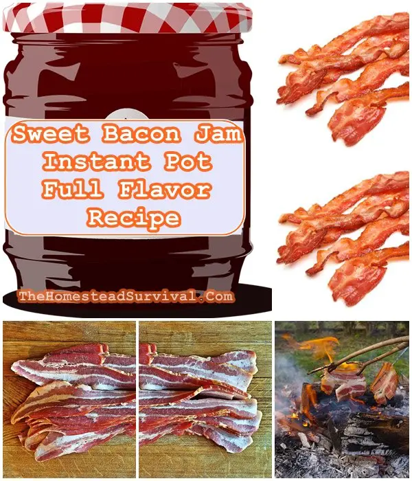 Sweet Bacon Jam Instant Pot Full Flavor Recipe