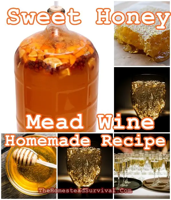 Sweet Honey Mead Wine Homemade Recipe