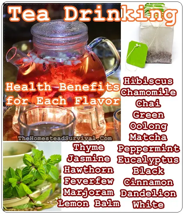 Tea Drinking Health Benefits for Each Flavor - Natural Remedies - Healing - Homesteading
