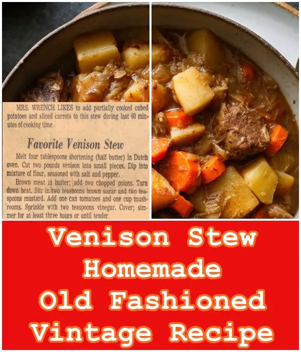 Venison Stew Homemade Old Fashioned Vintage Recipe