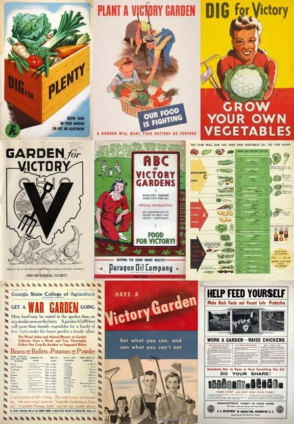 Victory War Gardens Lessons in Morden Homesteading