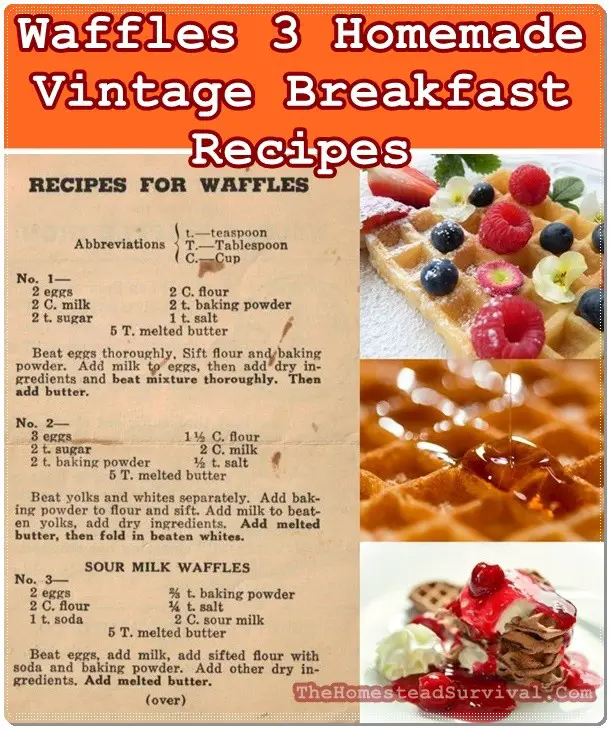 Waffles 3 Homemade Vintage Breakfast Recipes - The Homestead Survival - Home Cooking
