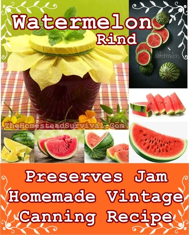 Watermelon Rind Preserves Jam Homemade Vintage Canning Recipe