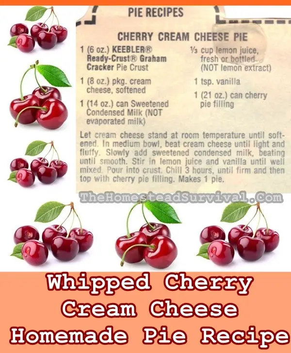 Whipped Cherry Cream Cheese Homemade Pie Recipe