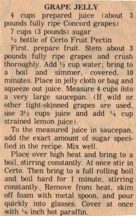 Homemade Grape Jelly Jam Vintage Canning Recipe - The Homestead Survival