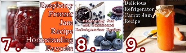 Homemade Refrigerator or Freezer Fruit Jams Recipe Collection