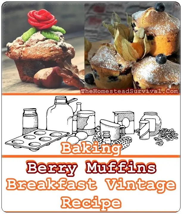 Baking Berry Muffins Breakfast Vintage Recipe - The Homestead Survival