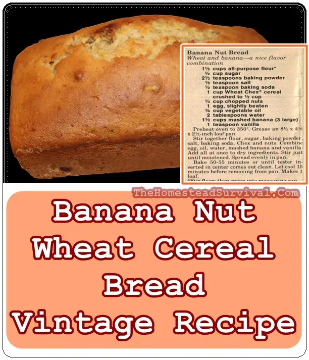 Banana Nut Wheat Cereal Bread Vintage Recipe - The Homestead Survival - Old Fashioned Baking