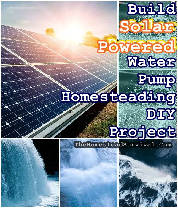 Build Solar Powered Water Pump Homesteading DIY Project - The Homestead Survival - Homesteading