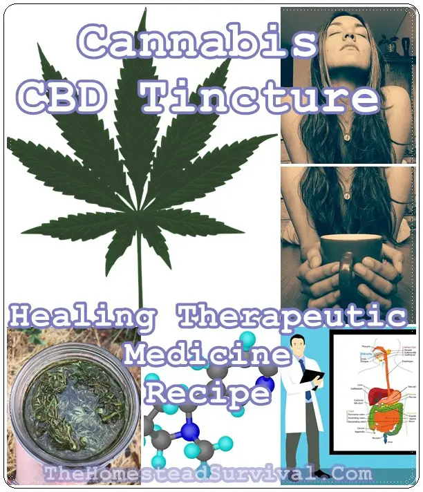 Cannabis CBD Tincture Healing Therapeutic Medicine Recipe - The Homestead Survival - Natural Alternative Healing -marijuana - THC
