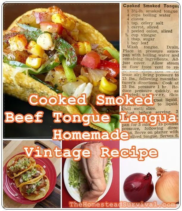 Cooked Smoked Beef Tongue Lengua Homemade Vintage Recipe - The Homestead Survival - Cow Tongue 